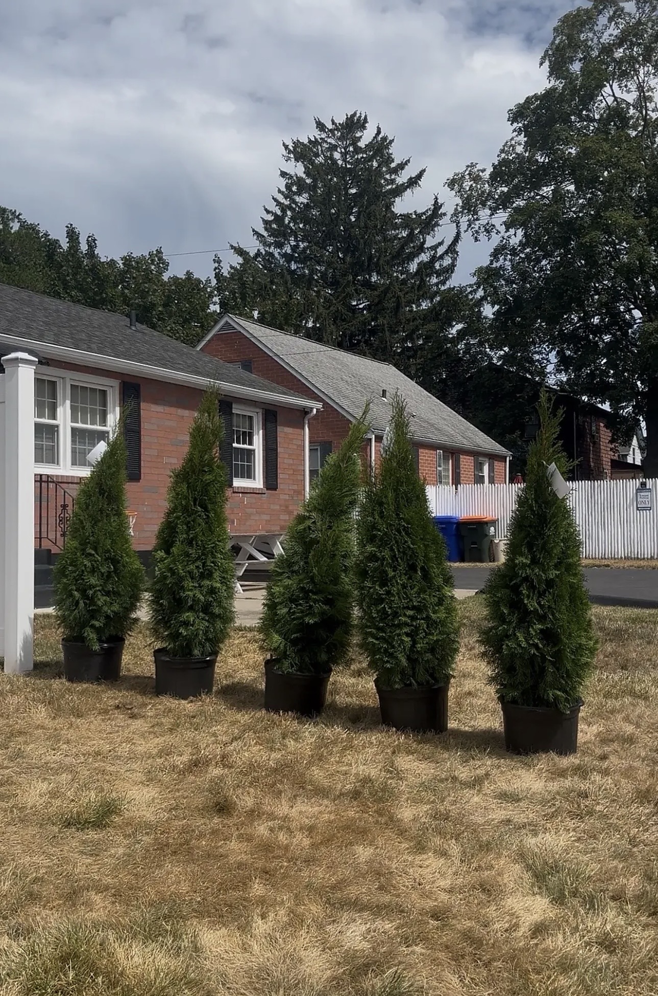 Property Maintenance